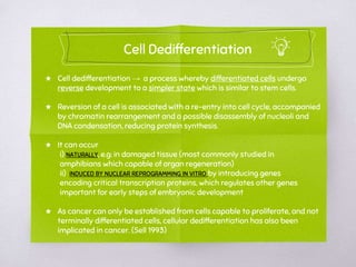 Induced Pluripotent Stem Cell & Cell Dedifferentiation: The ...