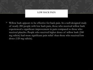  Willow bark appears to be effective for back pain. In a well-designed study
of nearly 200 people with low back pain, those who received willow bark
experienced a significant improvement in pain compared to those who
received placebo. People who received higher doses of willow bark (240
mg salicin) had more significant pain relief than those who received low
doses (120 mg salicin).
LOW BACK PAIN
 