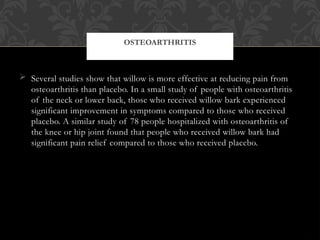  Several studies show that willow is more effective at reducing pain from
osteoarthritis than placebo. In a small study of people with osteoarthritis
of the neck or lower back, those who received willow bark experienced
significant improvement in symptoms compared to those who received
placebo. A similar study of 78 people hospitalized with osteoarthritis of
the knee or hip joint found that people who received willow bark had
significant pain relief compared to those who received placebo.
OSTEOARTHRITIS
 