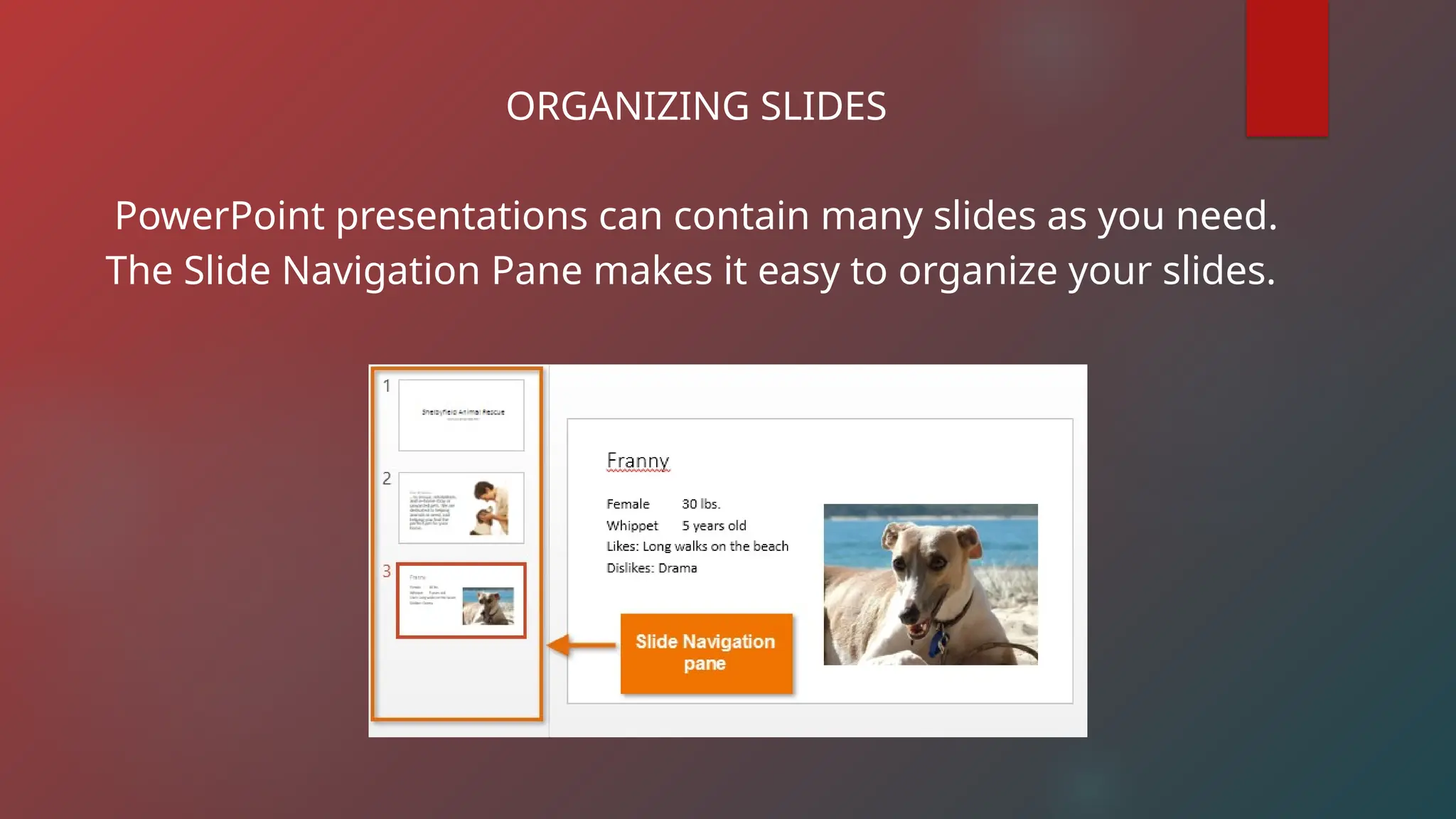 ORGANIZING SLIDES
PowerPoint presentations can contain many slides as you need.
The Slide Navigation Pane makes it easy to organize your slides.
 
