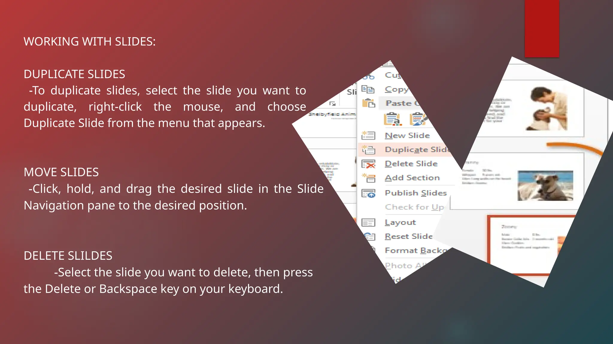 WORKING WITH SLIDES:
DUPLICATE SLIDES
-To duplicate slides, select the slide you want to
duplicate, right-click the mouse, and choose
Duplicate Slide from the menu that appears.
MOVE SLIDES
-Click, hold, and drag the desired slide in the Slide
Navigation pane to the desired position.
DELETE SLILDES
-Select the slide you want to delete, then press
the Delete or Backspace key on your keyboard.
 