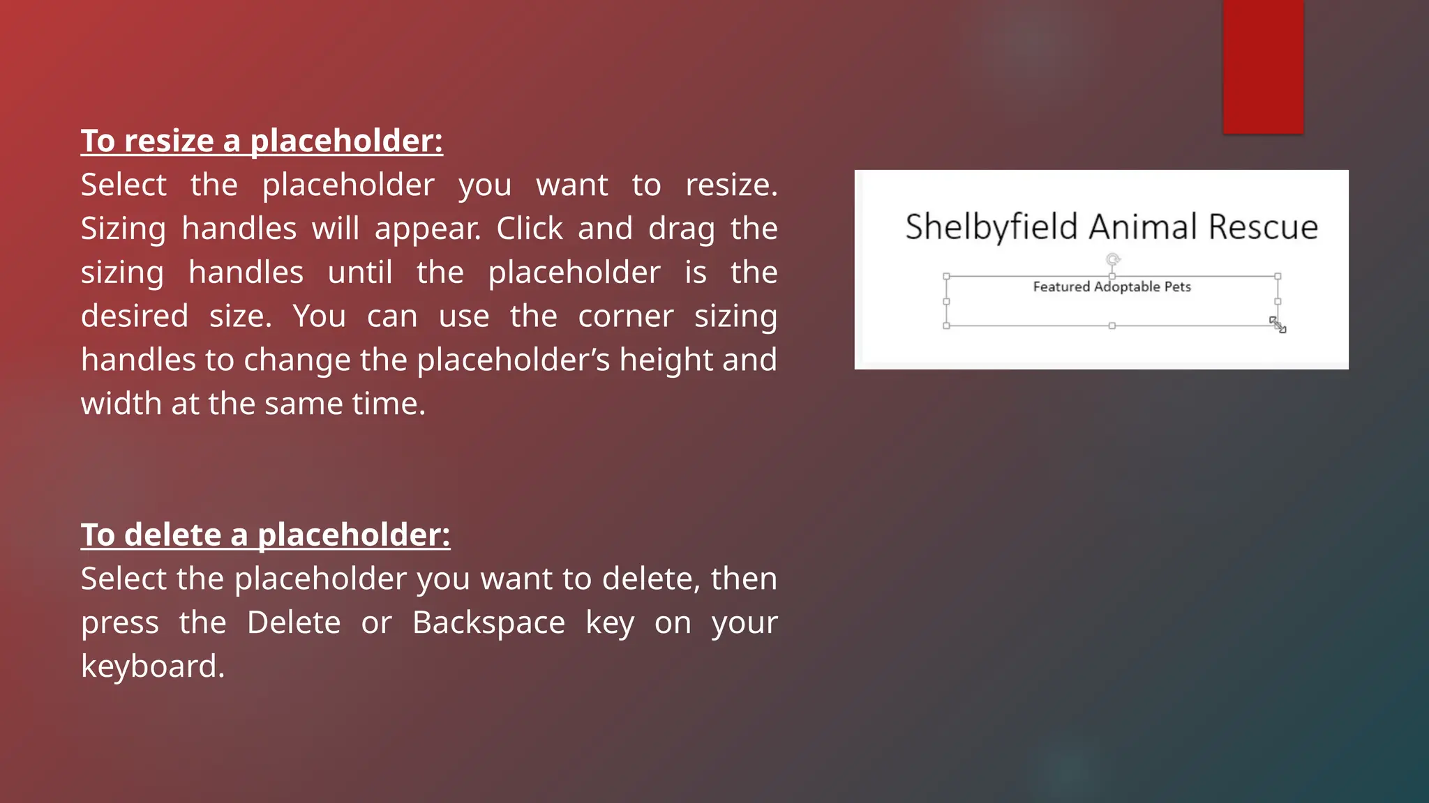 To resize a placeholder:
Select the placeholder you want to resize.
Sizing handles will appear. Click and drag the
sizing handles until the placeholder is the
desired size. You can use the corner sizing
handles to change the placeholder’s height and
width at the same time.
To delete a placeholder:
Select the placeholder you want to delete, then
press the Delete or Backspace key on your
keyboard.
 