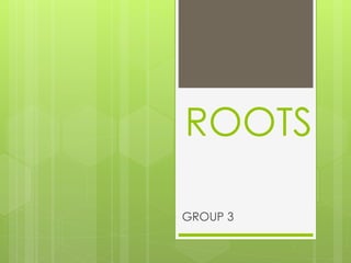 ROOTS
GROUP 3
 