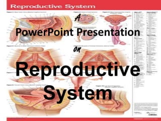 A PowerPoint PresentationonReproductive System 