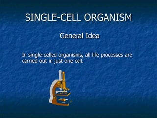 SINGLE-CELL ORGANISM General Idea In single-celled organisms, all life processes are carried out in just one cell. 