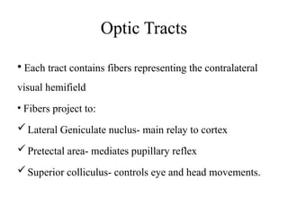 Contralateral Processing For Vision GROUP 4, VISUAL PATHWAY PHYSIOLOGY EYE.pptx