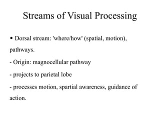 GROUP 4, VISUAL PATHWAY PHYSIOLOGY EYE.pptx