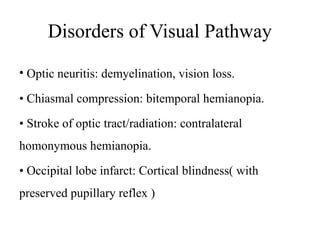 GROUP 4, VISUAL PATHWAY PHYSIOLOGY EYE.pptx