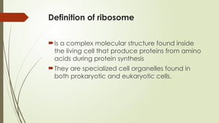 Define Ribosomes PRESENTATION ABOUT RIBOSOMES AND NUCLEUS | PPTX