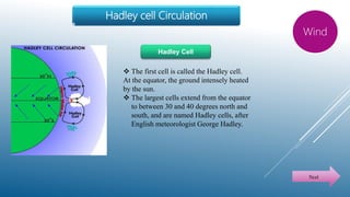  The first cell is called the Hadley cell.
At the equator, the ground intensely heated
by the sun.
 The largest cells extend from the equator
to between 30 and 40 degrees north and
south, and are named Hadley cells, after
English meteorologist George Hadley.
Hadley cell Circulation
Wind
Next
Hadley Cell
 