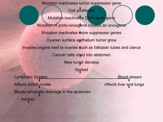 Mutation inactivates tumor suppressor gene Cell proliferate Mutation inactivates DNA repair gene Mutation of proto-oncogene creates an oncogene Mutation inactivates more suppressor genes Ovarian surface epithelium tumor grow Invades organs next to ovaries such as fallopian tubes and uterus Cancer cells shed into abdomen New tumor develop Spread Lymphatic System   Blood stream Affects lymph nodes    Affects liver and lungs Blocks lymphatic drainage in the abdomen Ascites 