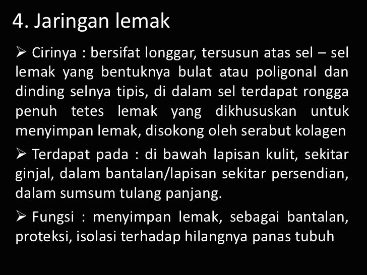 jaringan hewan animal tissue jaringan hewan animal tissue