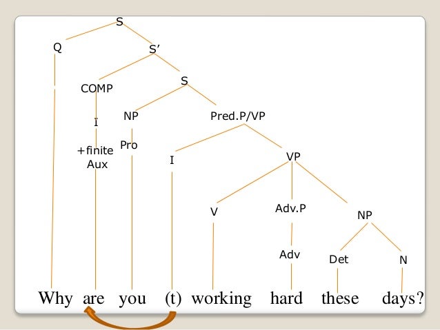 question tree diagram tree diagrams wh question question tree diagram tree diagrams wh question