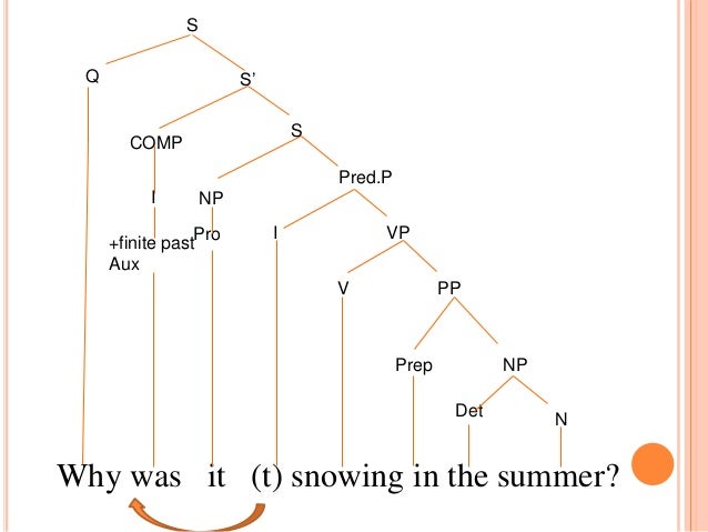 question tree diagram tree diagrams wh question question tree diagram tree diagrams wh question