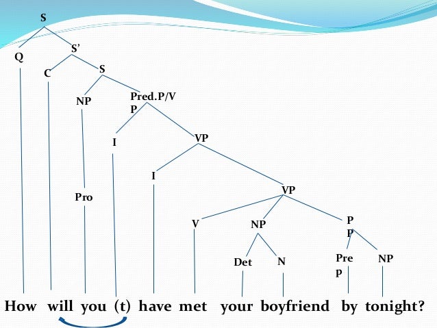 question tree diagram tree diagrams wh question question tree diagram tree diagrams wh question