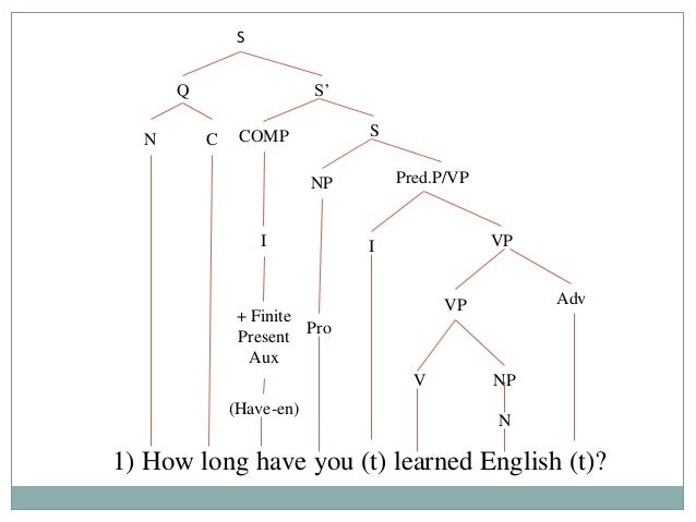 question tree diagram tree diagrams wh question question tree diagram tree diagrams wh question