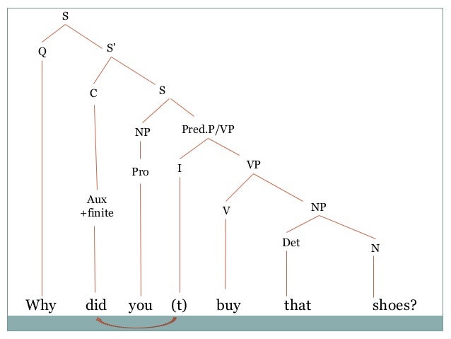 question tree diagram tree diagrams wh question question tree diagram tree diagrams wh question