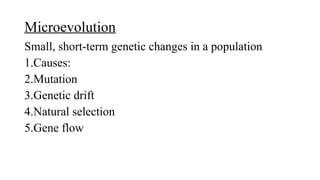 Group 5. Evolution and origin of species.pptx