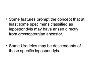 • Some features prompt the concept that at
  least some specimens classified as
  lepospondyls may have arisen directly
  from crossoptergian ancestor.

• Some Urodeles may be descendants of
  those specific lepospondyls.
 