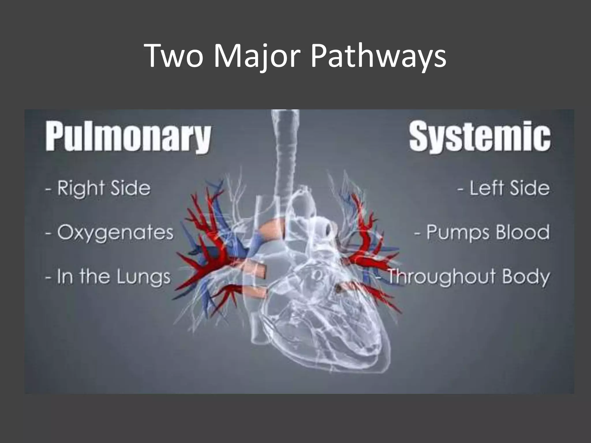 Two Major Pathways
 