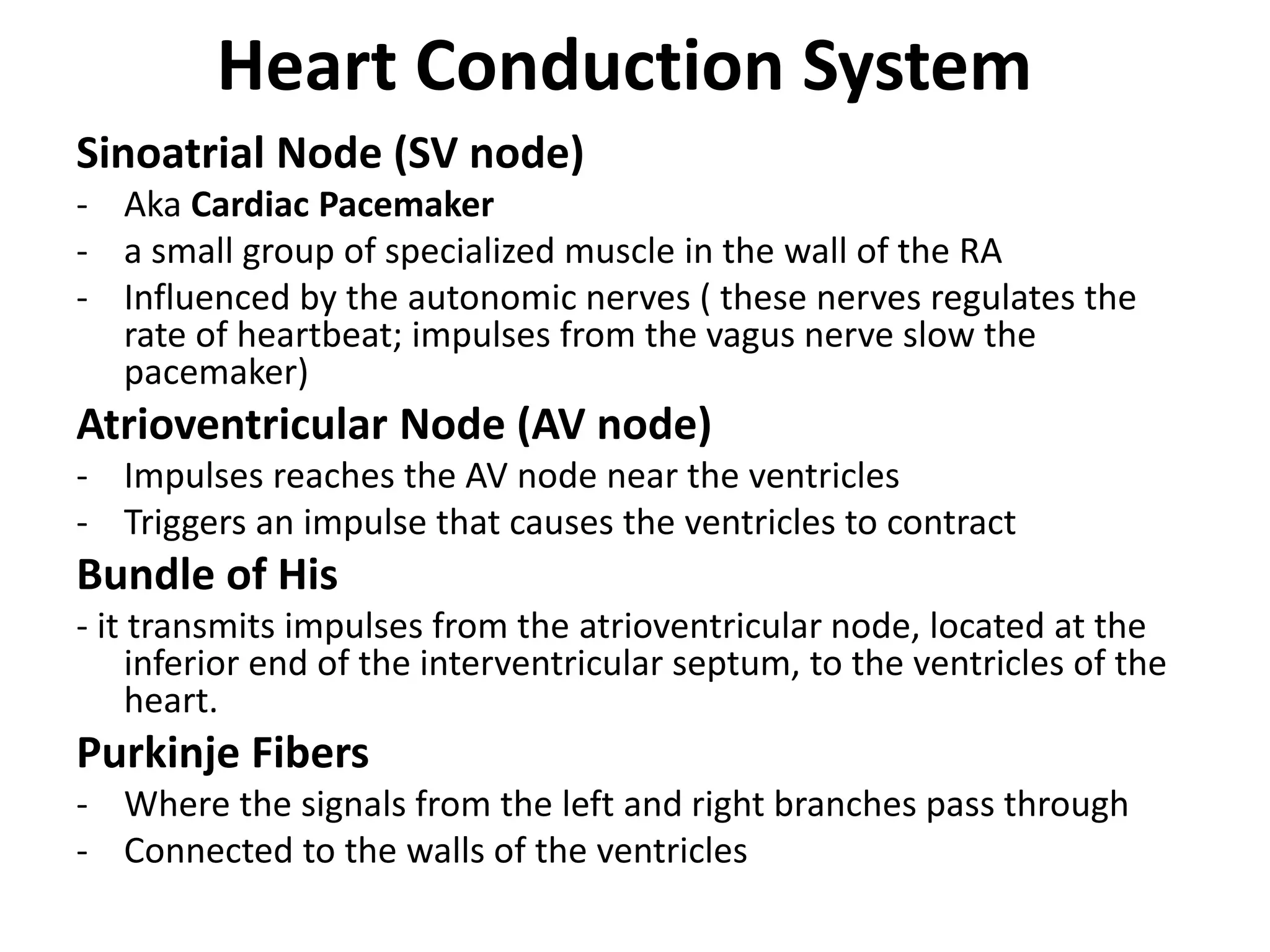 Heart Conduction System
Sinoatrial Node (SV node)
- Aka Cardiac Pacemaker
- a small group of specialized muscle in the wall of the RA
- Influenced by the autonomic nerves ( these nerves regulates the
rate of heartbeat; impulses from the vagus nerve slow the
pacemaker)
Atrioventricular Node (AV node)
- Impulses reaches the AV node near the ventricles
- Triggers an impulse that causes the ventricles to contract
Bundle of His
- it transmits impulses from the atrioventricular node, located at the
inferior end of the interventricular septum, to the ventricles of the
heart.
Purkinje Fibers
- Where the signals from the left and right branches pass through
- Connected to the walls of the ventricles
 