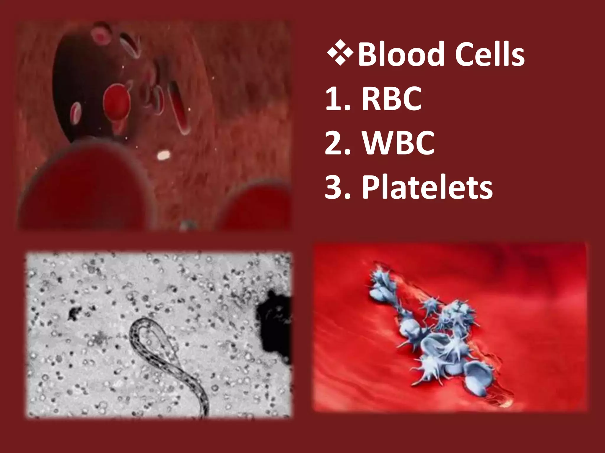 Blood Cells
1. RBC
2. WBC
3. Platelets
 
