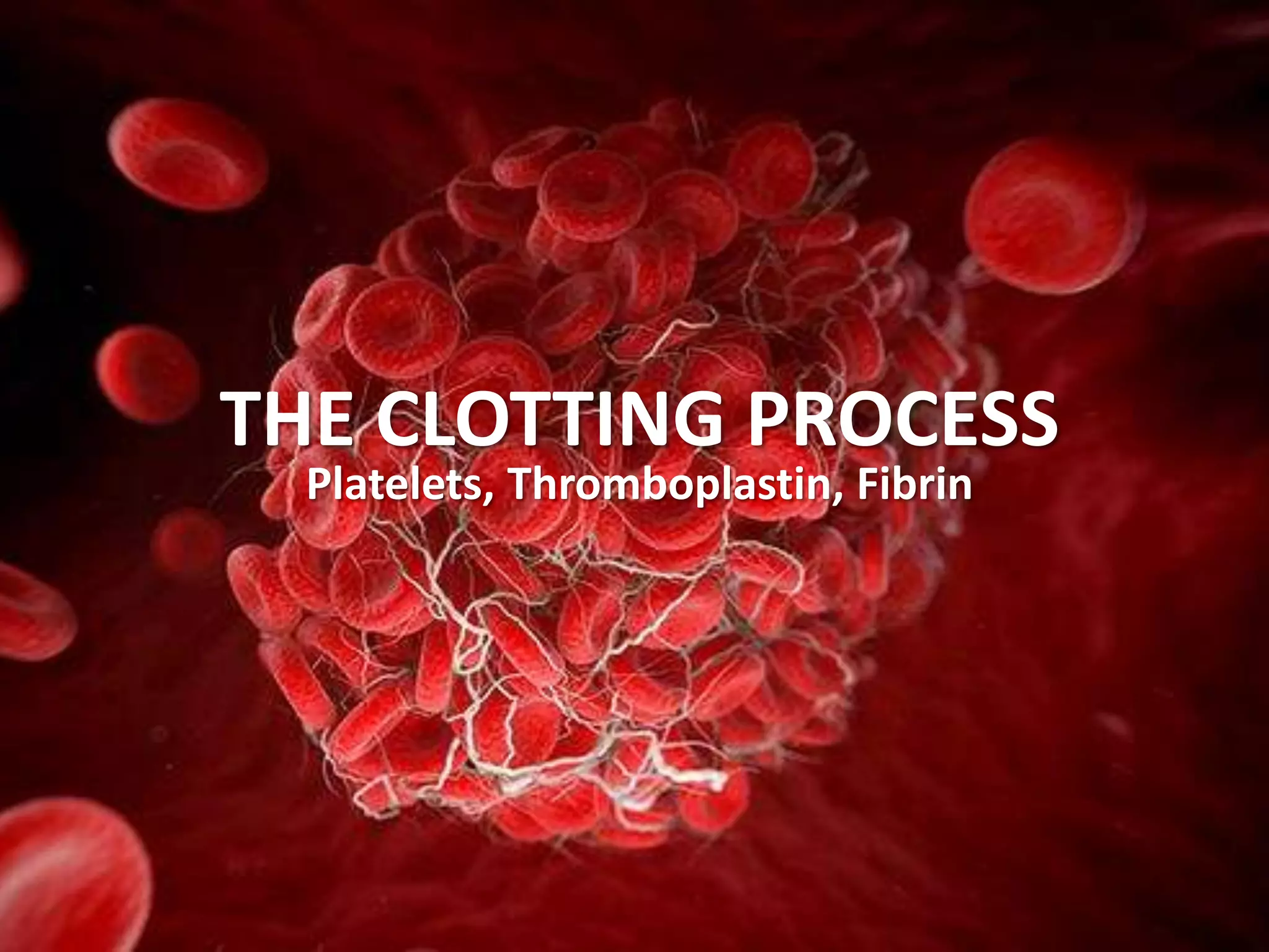 THE CLOTTING PROCESS
Platelets, Thromboplastin, Fibrin
 