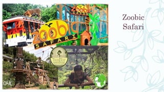 Zoobic
Safari
 