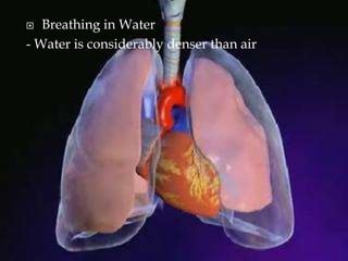  Breathing in Water
- Water is considerably denser than air
 