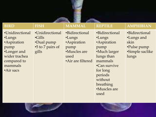 BIRD FISH MAMMAL REPTILE AMPHIBIAN
•Unidirectional
•Lungs
•Aspiration
pump
•Longer and
wider trachea
compared to
mammals
•Air sacs
•Unidirectional
•Gills
•Dual pump
•5 to 7 pairs of
gills
•Bidirectional
•Lungs
•Aspiration
pump
•Muscles are
used
•Air are filtered
•Bidirectional
•Lungs
•Aspiration
pump
•Much larger
lungs than
mammals
•Can survive
for long
periods
without
breathing
•Muscles are
used
•Bidirectional
•Lungs and
skin
•Pulse pump
•Simple saclike
lungs
 