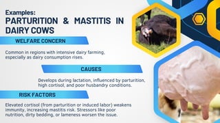 Group 5 3A Assessing Animal Welfare Physiological Measure PPT.pdf