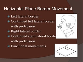 Sagittal Plane Border MovementFunctional movements