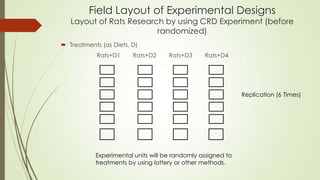 One-way ANOVA for Completely Randomized Design (CRD) | PPTX