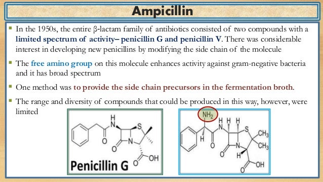 Amoxicillin vs ampicillin absorption