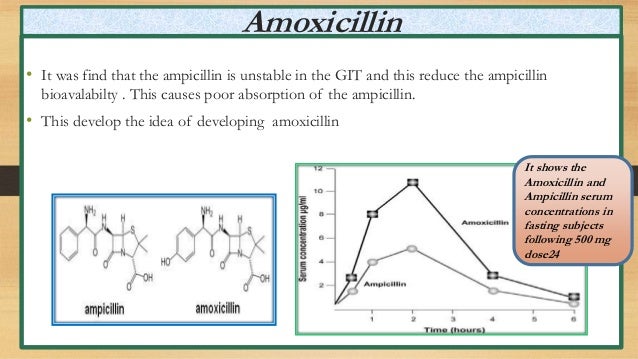 Ampicillin And Amoxicillin Metabolism