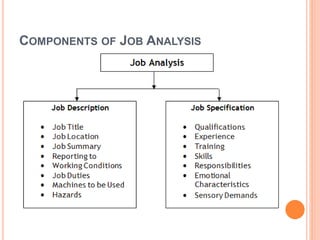 COMPONENTS OF JOB ANALYSIS
 