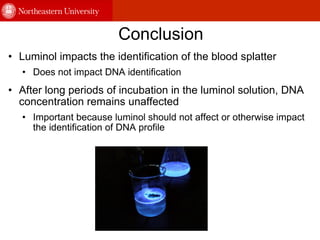 Conclusion Luminol impacts the identification of the blood splatter Does not impact DNA identification After long periods of incubation in the luminol solution, DNA concentration remains unaffected Important because luminol should not affect or otherwise impact the identification of DNA profile 