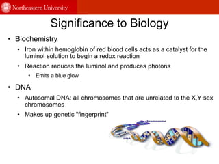 Significance to Biology Biochemistry Iron within hemoglobin of red blood cells acts as a catalyst for the luminol solution to begin a redox reaction Reaction reduces the luminol and produces photons Emits a blue glow DNA Autosomal DNA: all chromosomes that are unrelated to the X,Y sex chromosomes Makes up genetic "fingerprint" 