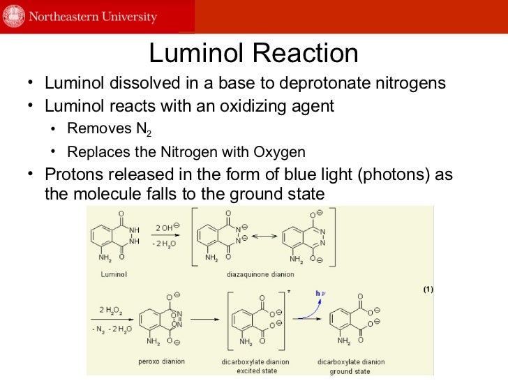 Group 5 luminol & dna