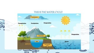 THIS IS THE WATER CYCLE!
 