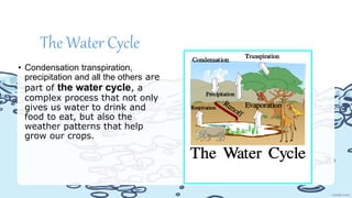 The Water Cycle
• Condensation transpiration,
precipitation and all the others are
part of the water cycle, a
complex process that not only
gives us water to drink and
food to eat, but also the
weather patterns that help
grow our crops.
 