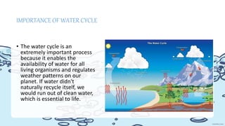 • The water cycle is an
extremely important process
because it enables the
availability of water for all
living organisms and regulates
weather patterns on our
planet. If water didn't
naturally recycle itself, we
would run out of clean water,
which is essential to life.
IMPORTANCE OF WATER CYCLE
 