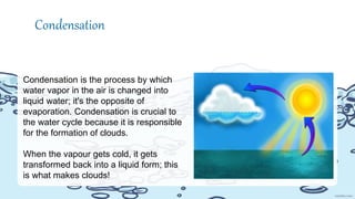 Condensation is the process by which
water vapor in the air is changed into
liquid water; it's the opposite of
evaporation. Condensation is crucial to
the water cycle because it is responsible
for the formation of clouds.
When the vapour gets cold, it gets
transformed back into a liquid form; this
is what makes clouds!
Condensation
 