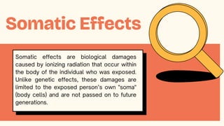 Somatic Effect Group 5 ppt.pdf about radiation effects and measurement | PDF