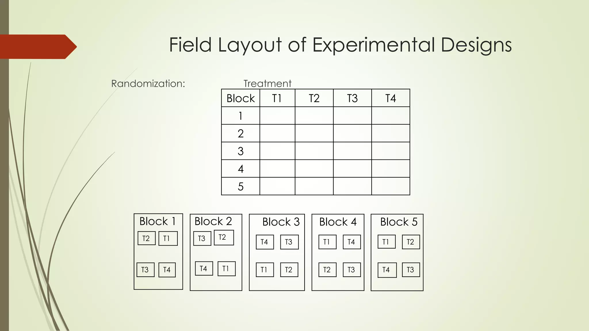 Field Layout of Experimental Designs
Randomization: Treatment
Block T1 T2 T3 T4
1
2
3
4
5
T3
T2 T1
T4
T3
T2
T2
T1T4 T1
T3T4
T4 T3
T2T1
T3T2
T4T1
Block 1 Block 2 Block 3 Block 4 Block 5
 