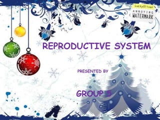 REPRODUCTIVE SYSTEM PRESENTED BY GROUP 5 