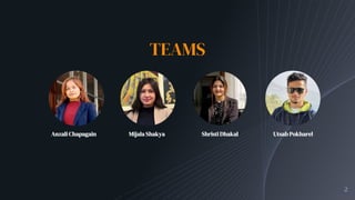 TEAMS
2
Anzali Chapagain Mijala Shakya Shristi Dhakal Utsab Pokharel
 