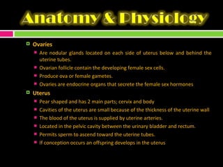 Ovaries Are nodular glands located on each side of uterus below and behind the uterine tubes. Ovarian follicle contain the developing female sex cells. Produce ova or female gametes. Ovaries are endocrine organs that secrete the female sex hormones Uterus Pear shaped and has 2 main parts; cervix and body Cavities of the uterus are small because of the thickness of the uterine wall The blood of the uterus is supplied by uterine arteries. Located in the pelvic cavity between the urinary bladder and rectum. Permits sperm to ascend toward the uterine tubes. If conception occurs an offspring develops in the uterus 