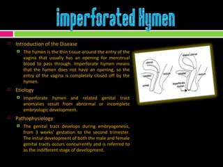 Introduction of the Disease The hymen is the thin tissue around the entry of the vagina that usually has an opening for menstrual blood to pass through. Imperforate hymen means that the hymen does not have an opening, so the entry of the vagina is completely closed off by the hymen.  Etiology Imperforate hymen and related genital tract anomalies result from abnormal or incomplete embryologic development. Pathophysiology The genital tract develops during embryogenesis, from 3 weeks' gestation to the second trimester. The initial development of both the male and female genital tracts occurs concurrently and is referred to as the indifferent stage of development. 