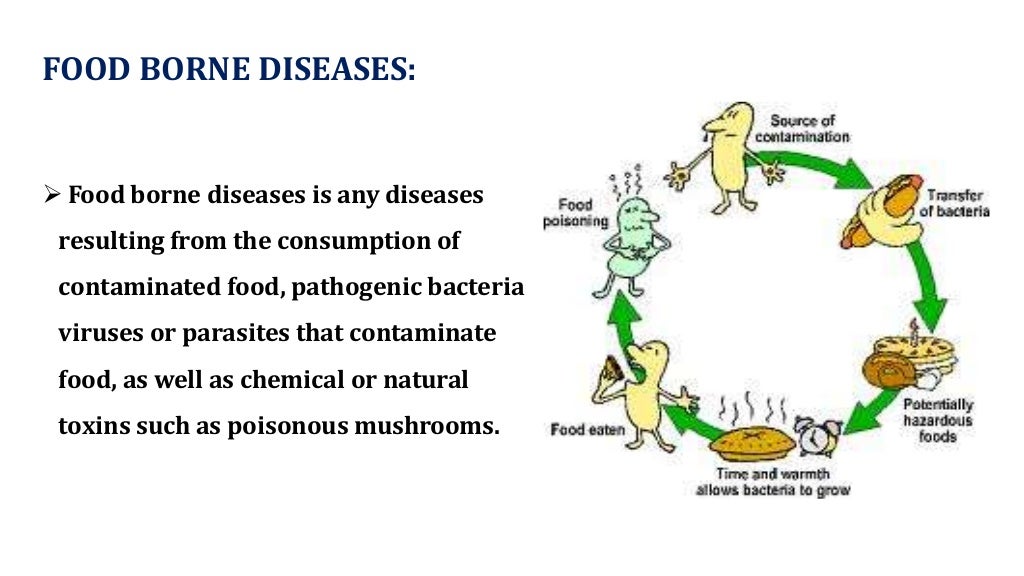 FOOD BORNE DISEASES & IT'S PREVENTION